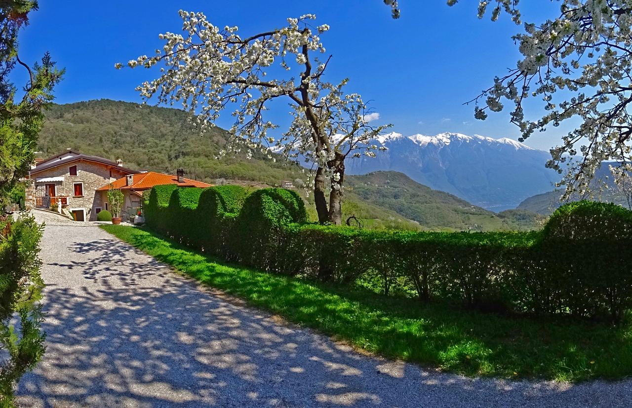 Casa Belvedere Garden By Gardadomusmea Tremosine Exteriör bild
